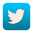 Twitter icon